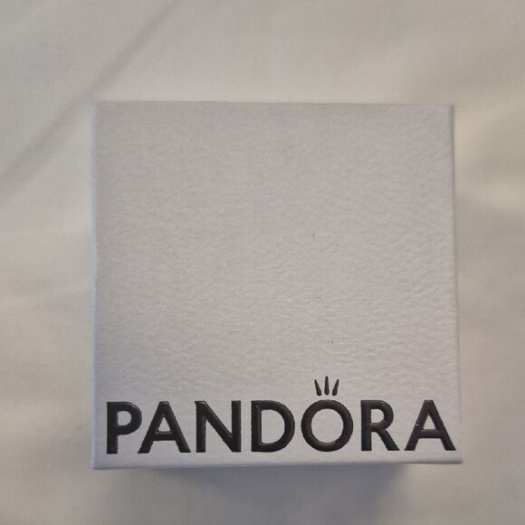 Pandora Silver Charm - Picture 2 of 15